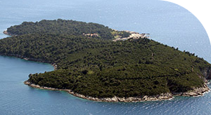 Lokrum island