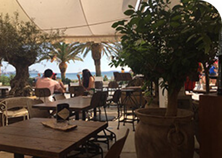 Best restaurants in Split - Olive Tree fine dining lounge